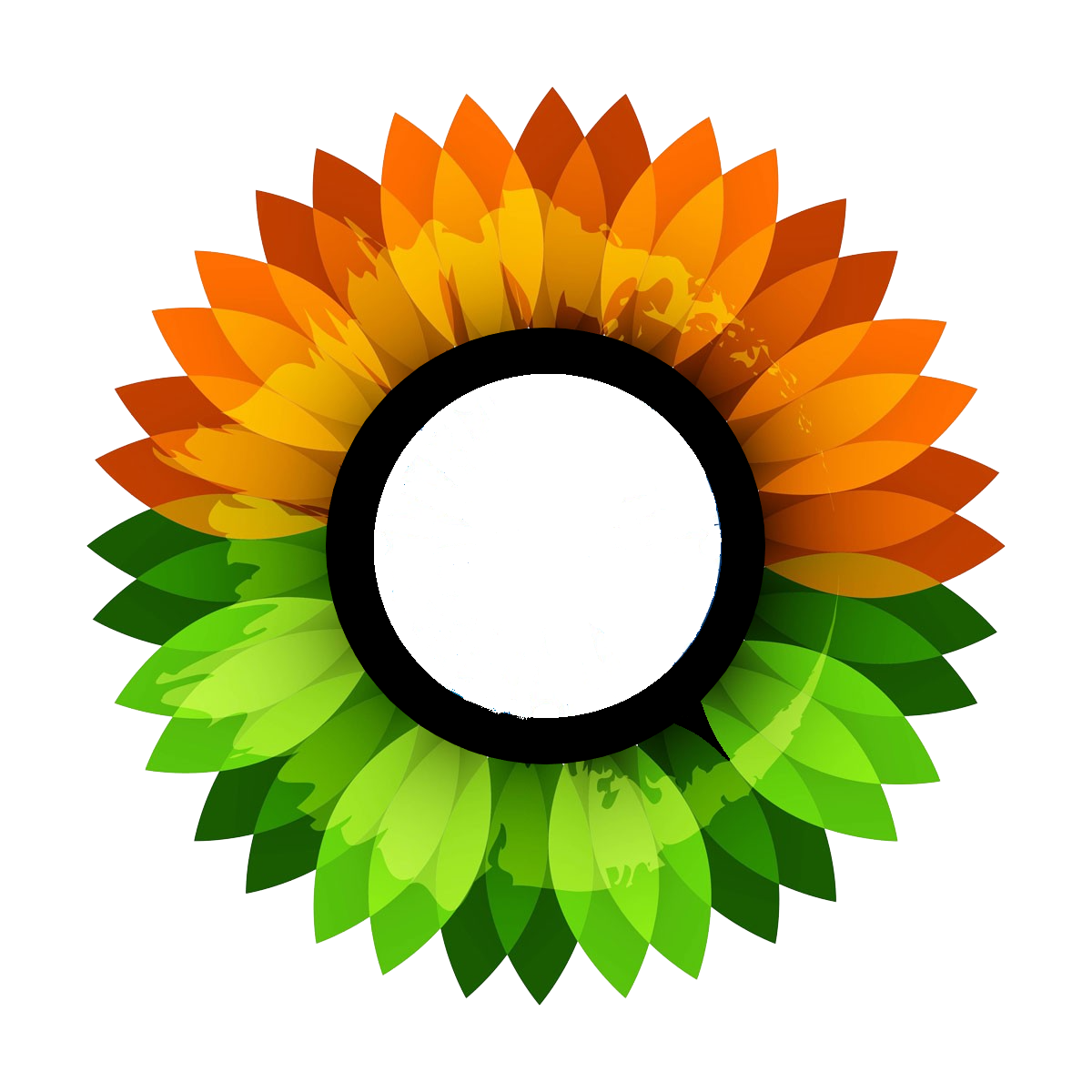 WhatsApp Icon